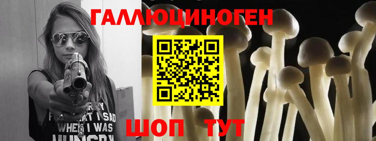Псилоцибиновые грибы мицелий Унеча